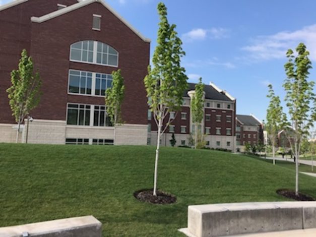  Condo & HOA Painting